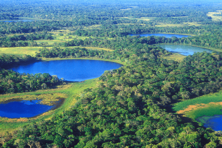 Pantanal wetlands in Brzail