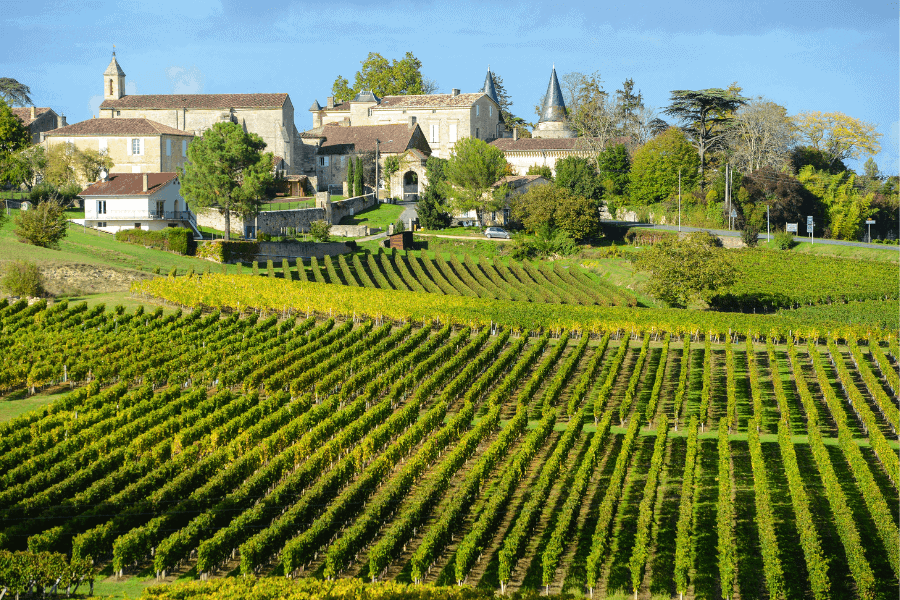 Vineyard of Saint Emilion in Bordeaux