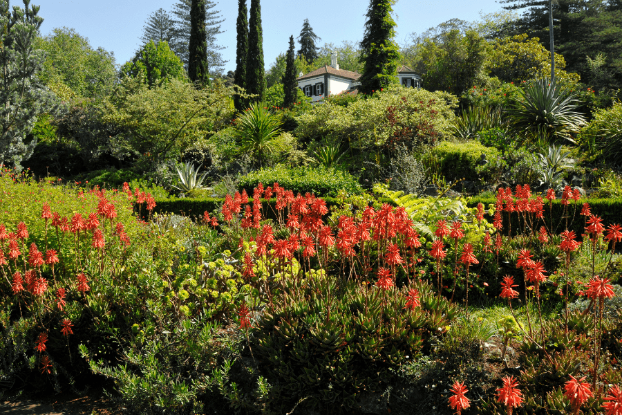 Palheiro Gardens in Funchal