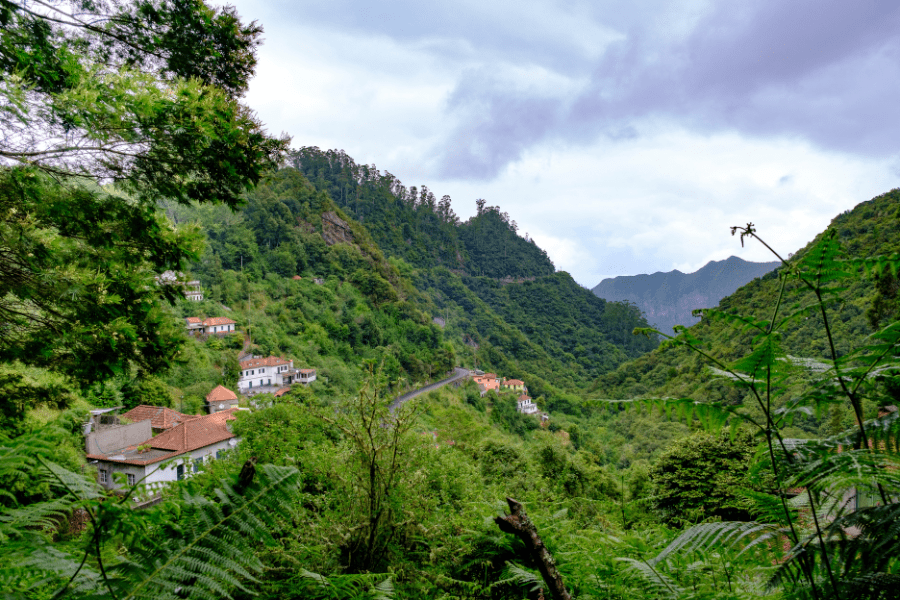 Vereda dos Balcões in Madeira