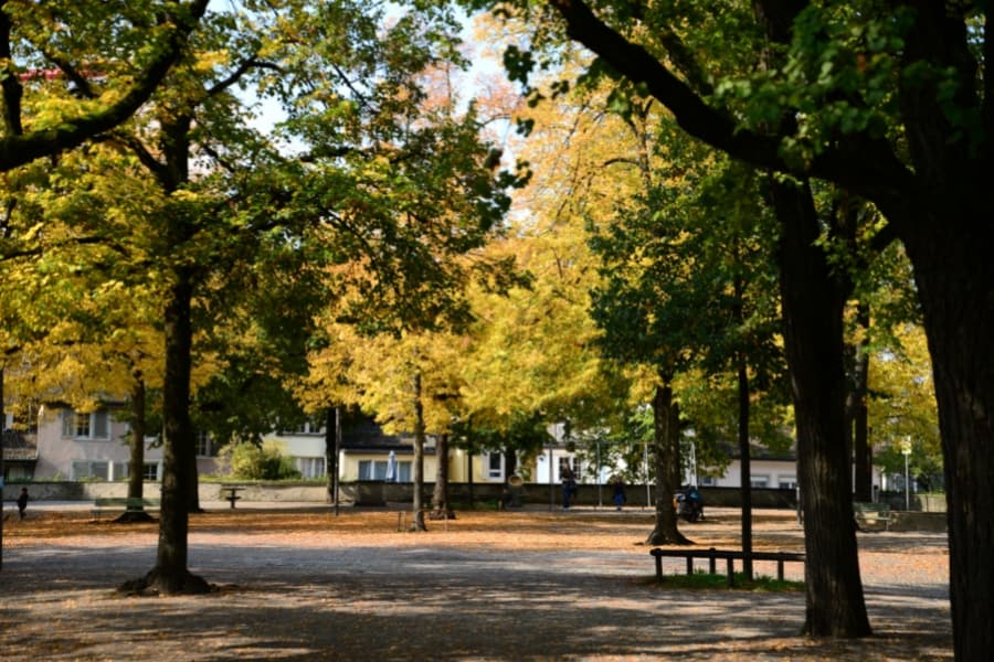 Lindenhof park in Zurich