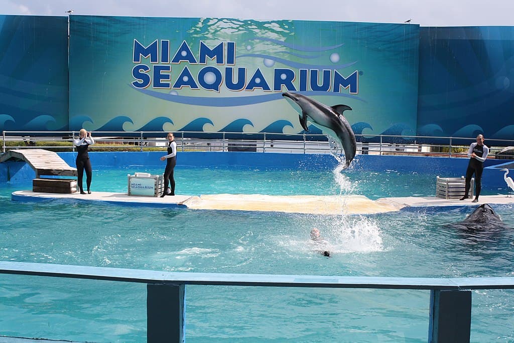 Miami Sea Aquarium