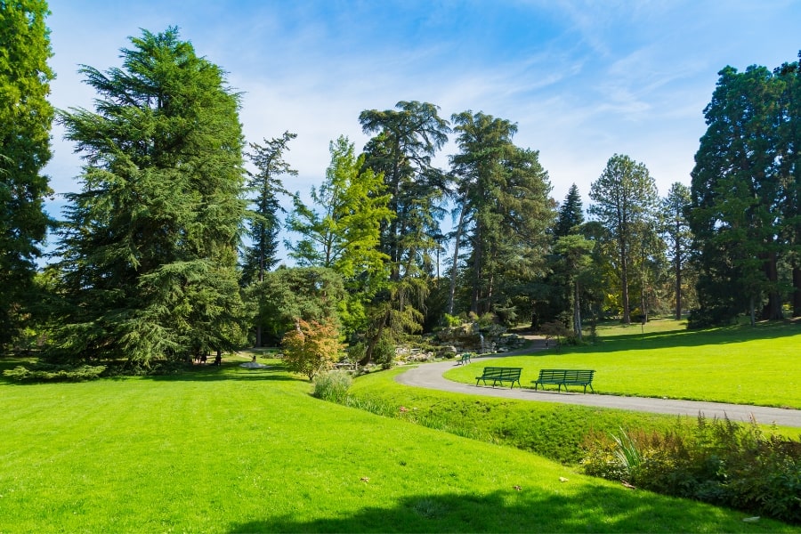 Parc de la Grange in Geneva