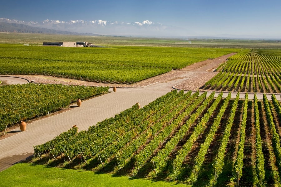 wineries in Mendoza