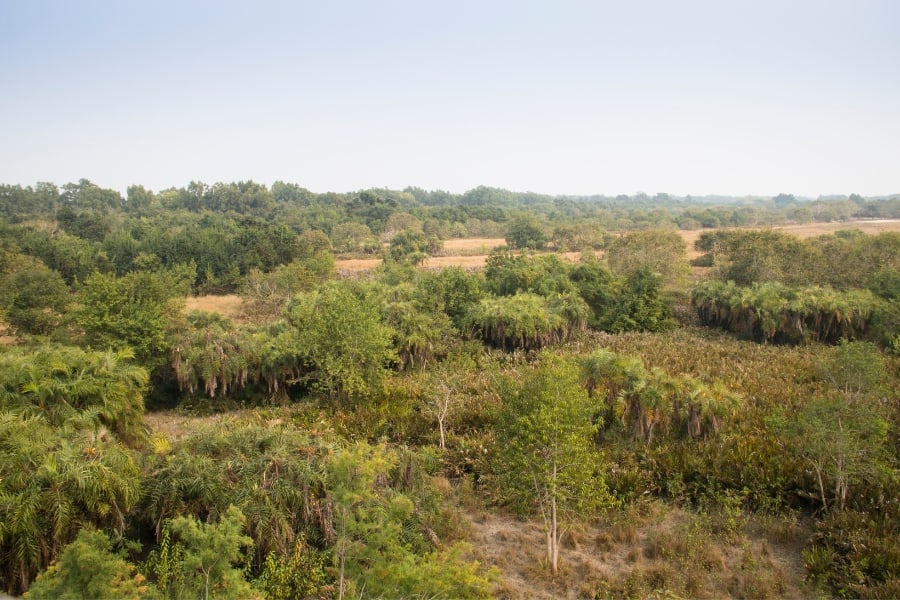 Sundarbans National Park in India