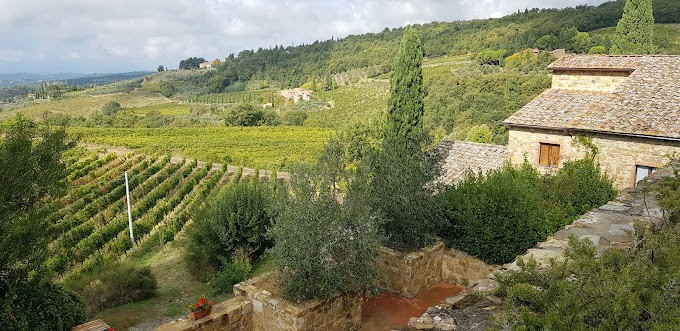Castellare di Castellina Winery
