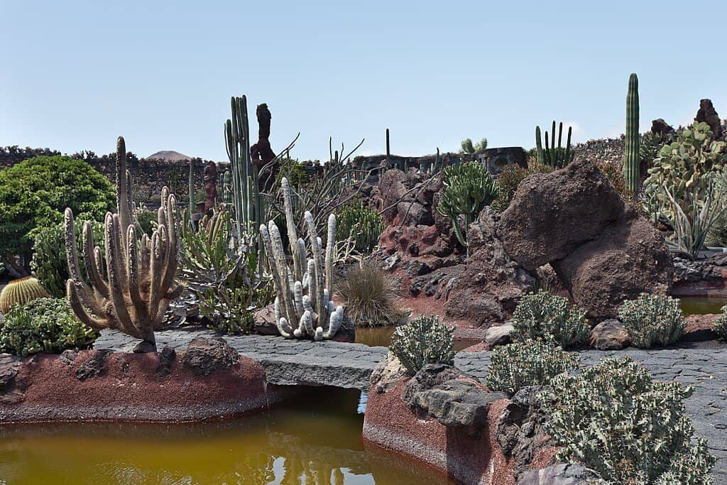 Jardín de Cactus - Guatiza, Lanzarote