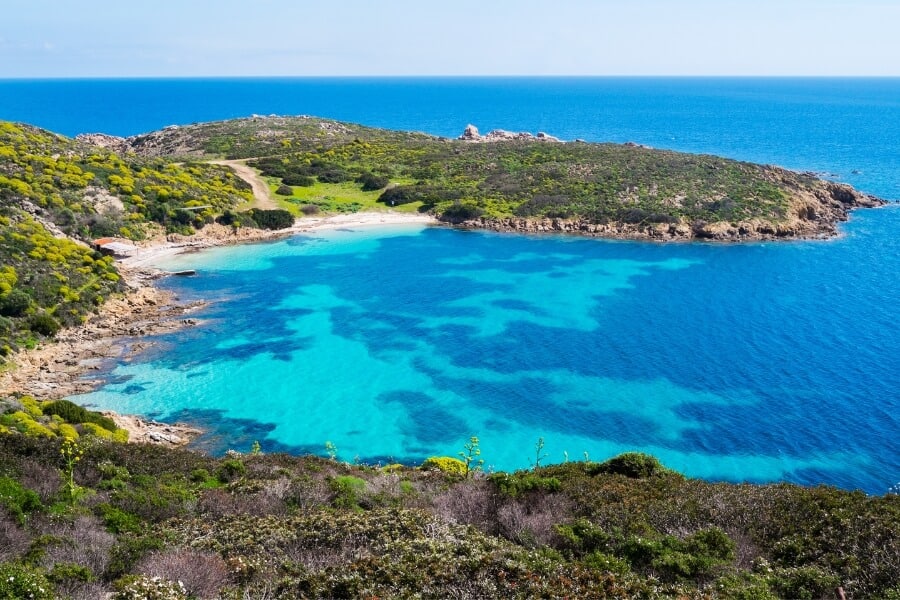 Asinara Island - Sardinia