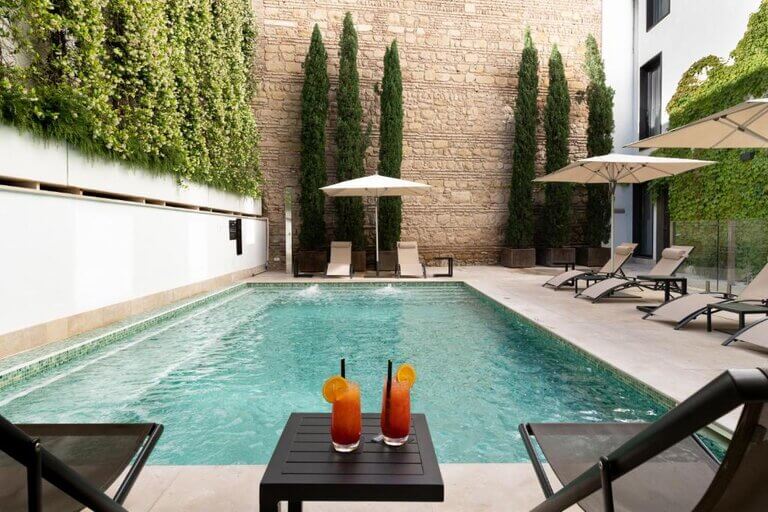 H10 Palacio Colomera outdoor pool